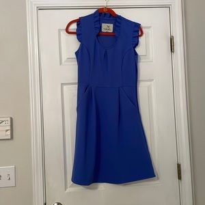 Adorable dress with ruffle neck (has pockets)